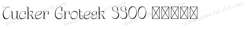 Tucker Grotesk 5500字体转换